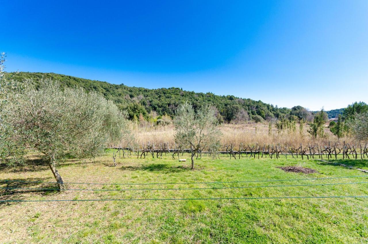 קמפור Apartments Vesna מראה חיצוני תמונה